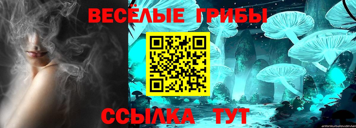 Камышлов  Псилоцибиновые грибы мухоморы  Вход с VPN 