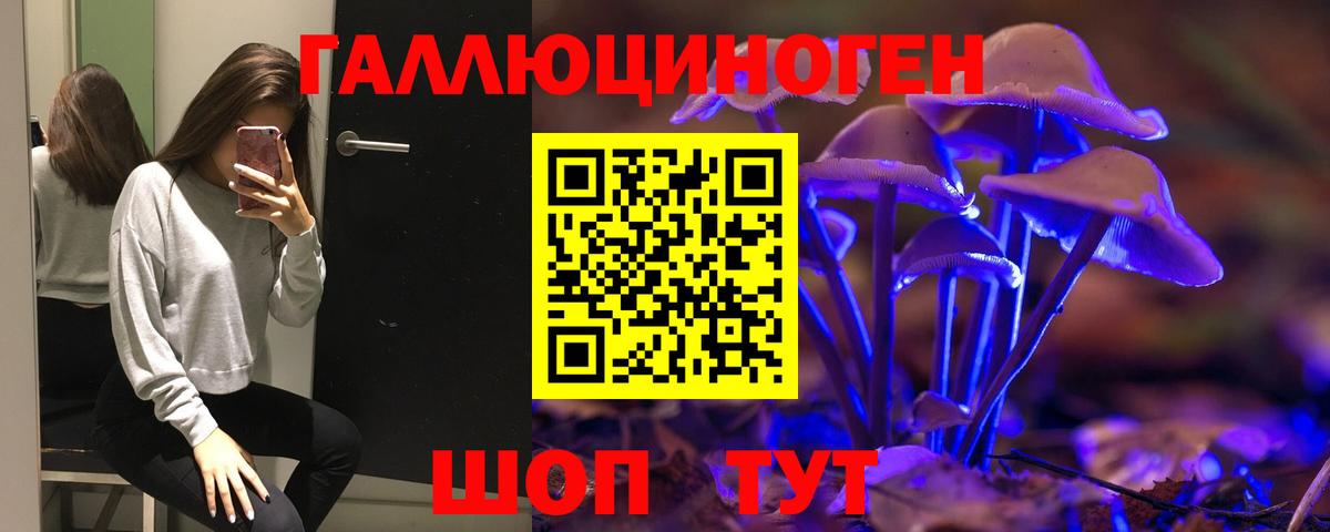 Галлюциногенные грибы GOLDEN TEACHER Камышлов